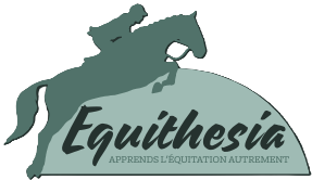 Equithesia